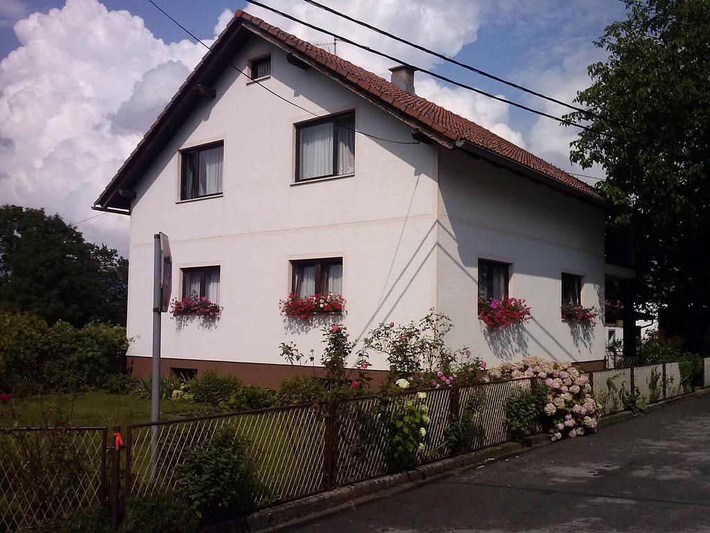 Apartman Josipa Drežnik Grad Cameră foto